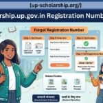 scholarship-up-gov-in-registration-number-forgot